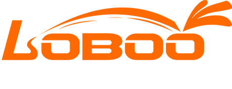 Loboo for my motour life