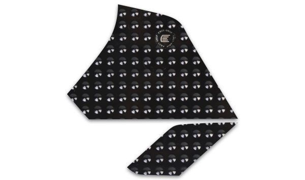 Adesivi serbatoio moto Triumph Tiger 900 2024