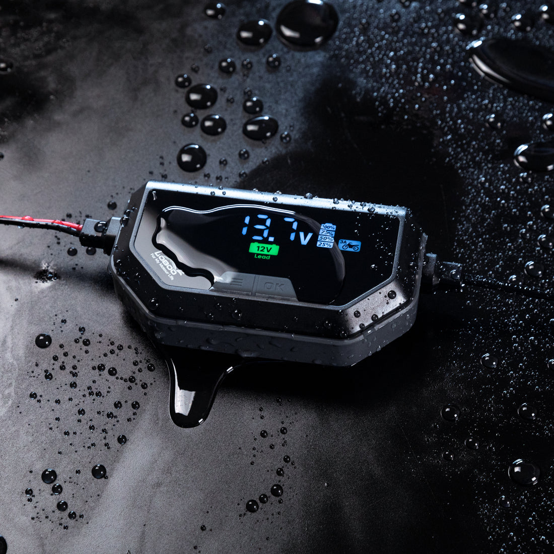 Caricabatterie C60 bagnato dall'acqua, con il grado di protezione IP65 dichiarato dal produttore
