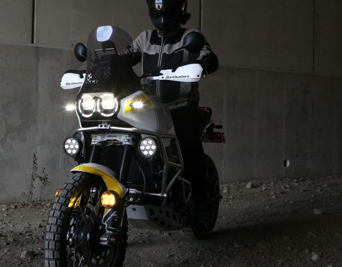 Centralina CANsmart DENALI per Ducati DesertX, vista dei connettori