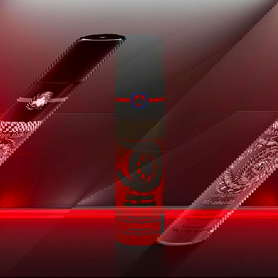 HOTTROAD – Moto Chain Lube OR Lubrificante per catene moto 400ml