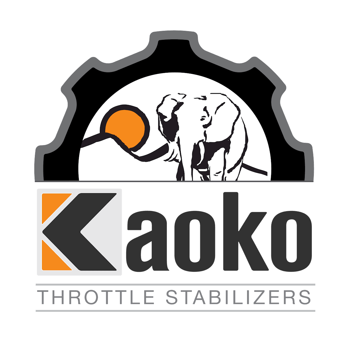 Kaoko Stabilizzatore manubrio con cruise control per moto BSA Gold Star '23 -'24-