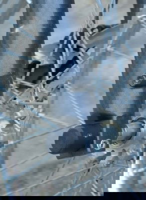 Protezioni perno forcella Anteriore, Rieju Marathon