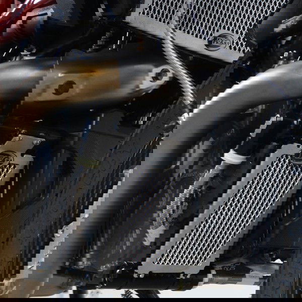 Retina Nera Protezione Radiatore Olio Indian FTR1200 S 19 69023 - Endurrad