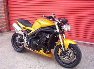 Tamponi paratelaio ANTERIORI - Triumph Speed Triple '97 - '07 - ENDURRAD