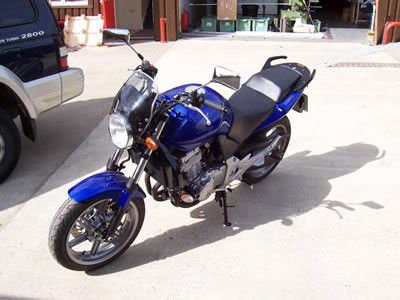 Tamponi paratelaio - Honda CBF 500 '04 - '12 - ENDURRAD