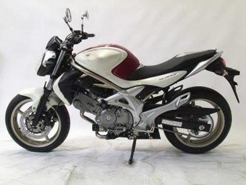 Tamponi Paratelaio Tipo Aero Suzuki Gladius 09 SV650 16 SV650X 70372 Rg CP0255BL - Endurrad