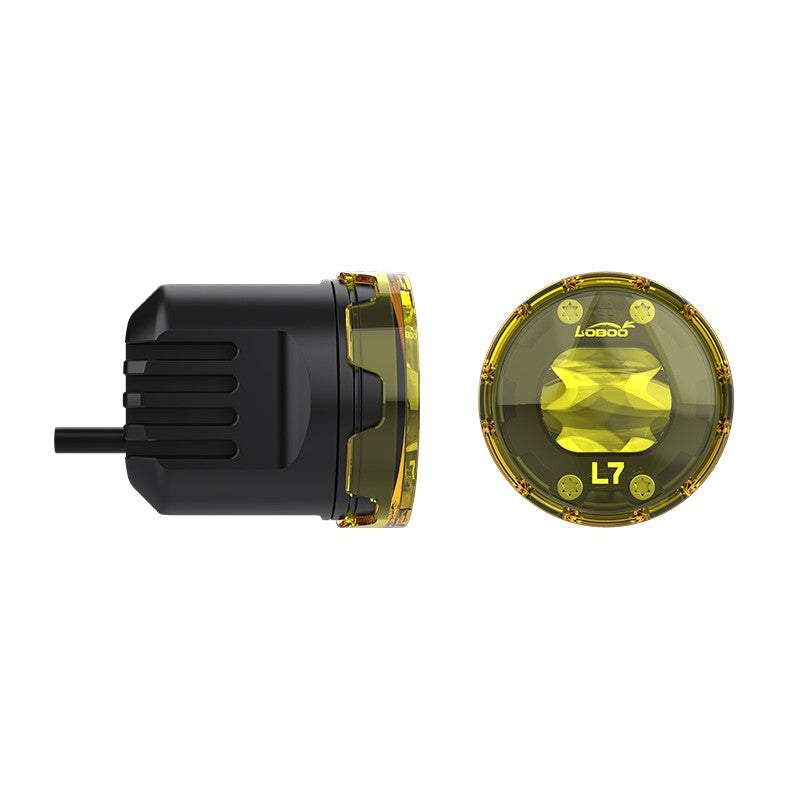 Glass lens, non-replaceable LEDs