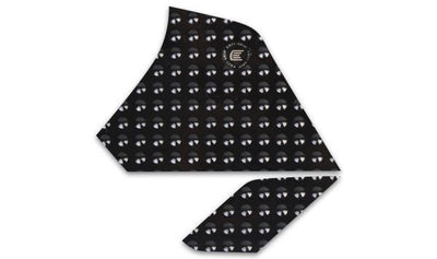 Adesivi serbatoio moto Triumph Tiger 900 2024