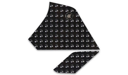 Adesivi serbatoio moto Triumph Tiger 900 2024