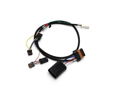 Cablaggio per centralina luci - Harley-Davidson Pan America '21-