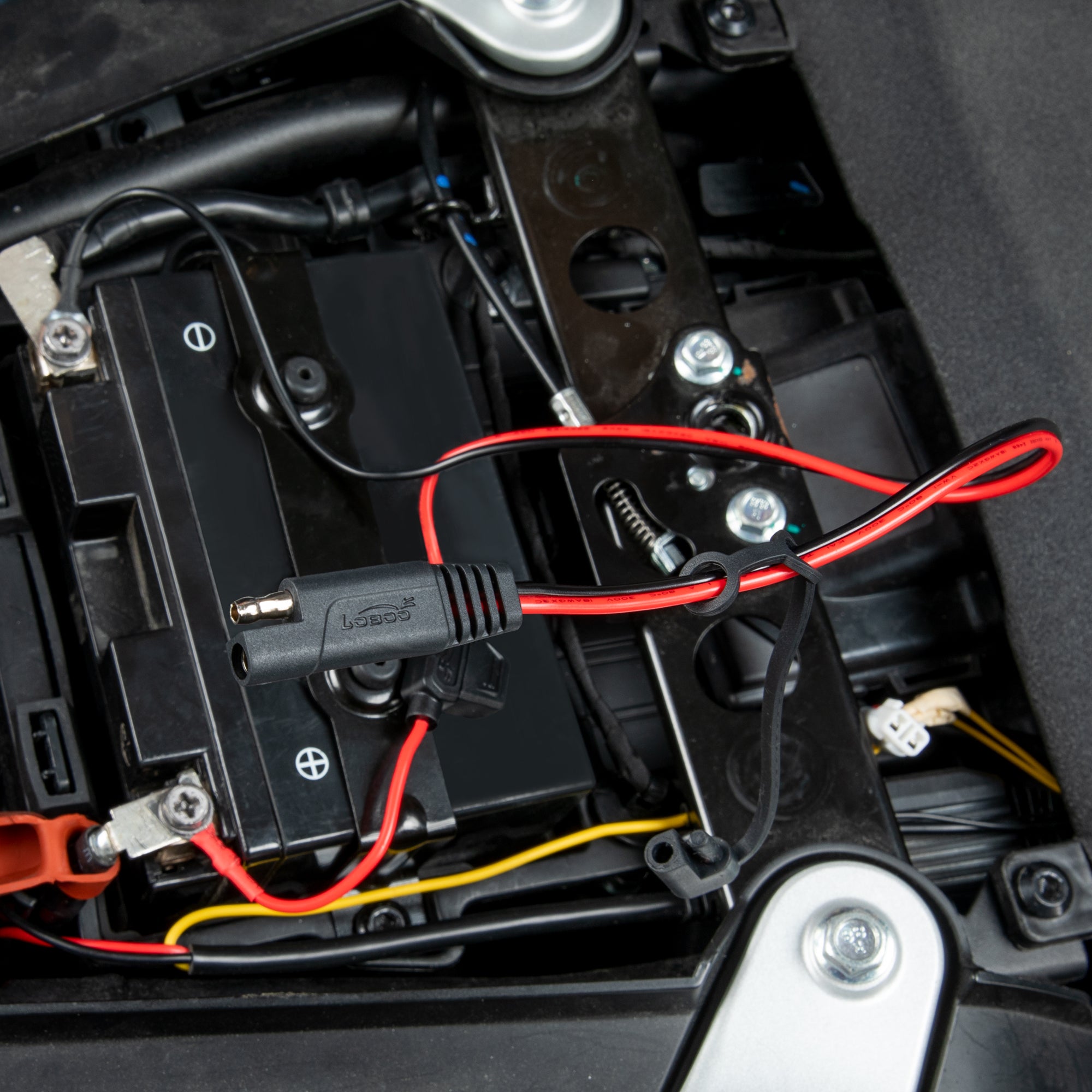 Terminali ad anello del cavo SAE fissati ai poli della batteria della moto