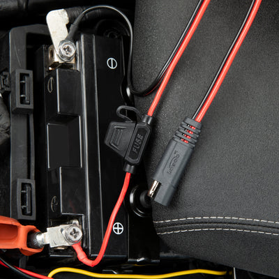 Connettore SAE lasciato accessibile accanto alla batteria, pronto per il mantenitore di carica