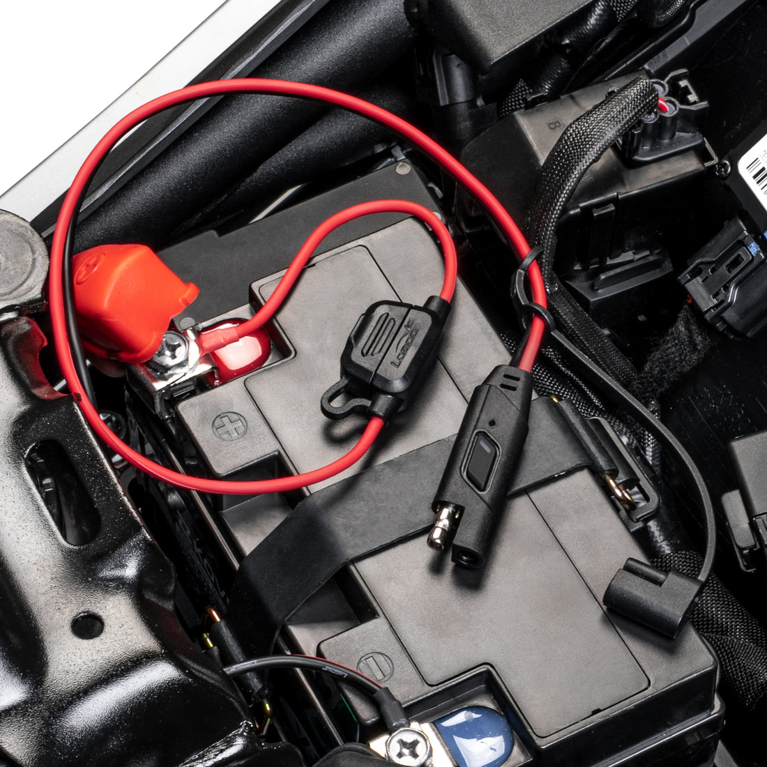 Terminali ad anello del cavo SAE fissati ai poli della batteria, sotto il copripolo