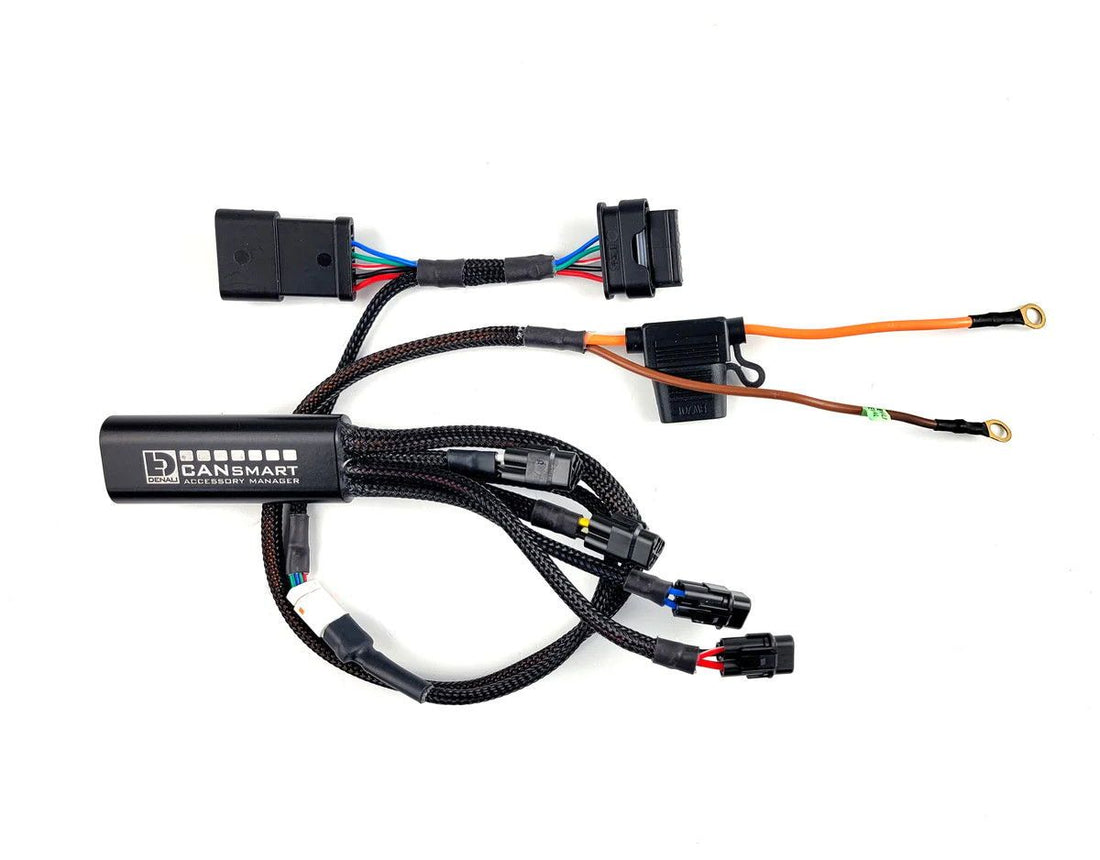 Centralina CANsmart DENALI per BMW R 1300 GS, vista dei connettori