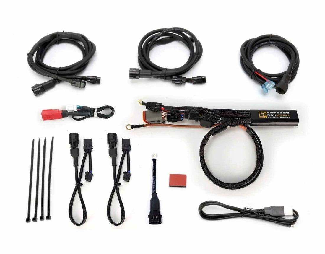 Centralina CANsmart DENALI per Harley-Davidson V-Twin, dettaglio del cablaggio