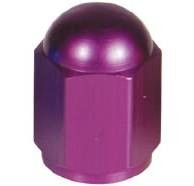 Coppia tappo valvola "Hexagone" viola | 12 - 0016 - r26692 - ENDURRAD