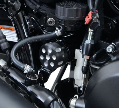 Cornice Portatarga Protezione Cinghia Harley Davidson Street 500 750 Lato Destro 13143 - Endurrad
