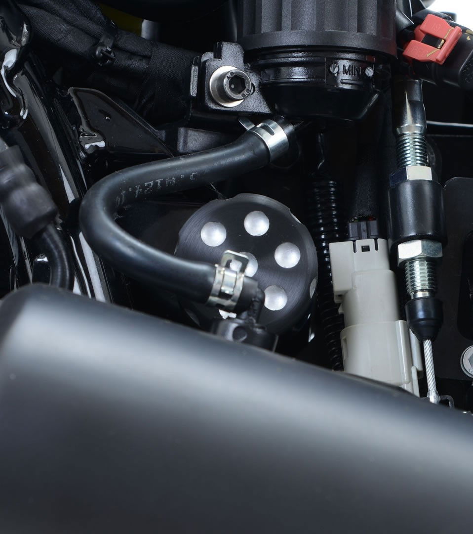 Cornice portatarga / protezione cinghia Harley-Davidson Street 500/750 - lato destro