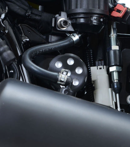 Cornice portatarga - protezione cinghia Harley - Davidson Street 500/750 - lato destro - ENDURRAD