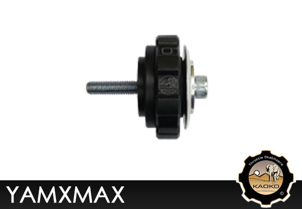 Cruise control moto Kaoko YAMAHA XMAX 300 Scooter '17- - 125 - 400 '18