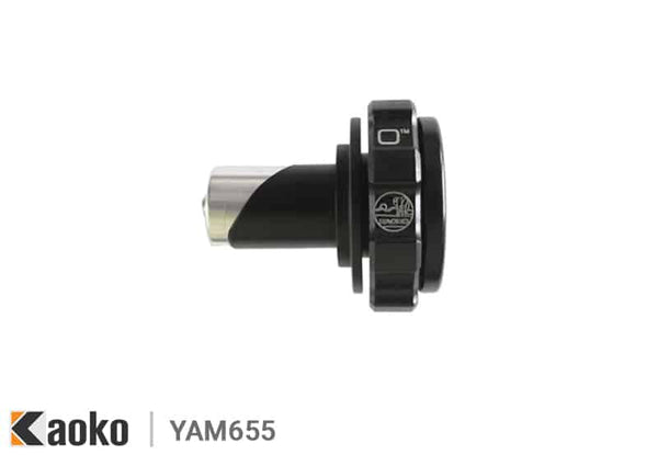 Cruise control for Yamaha XT250
