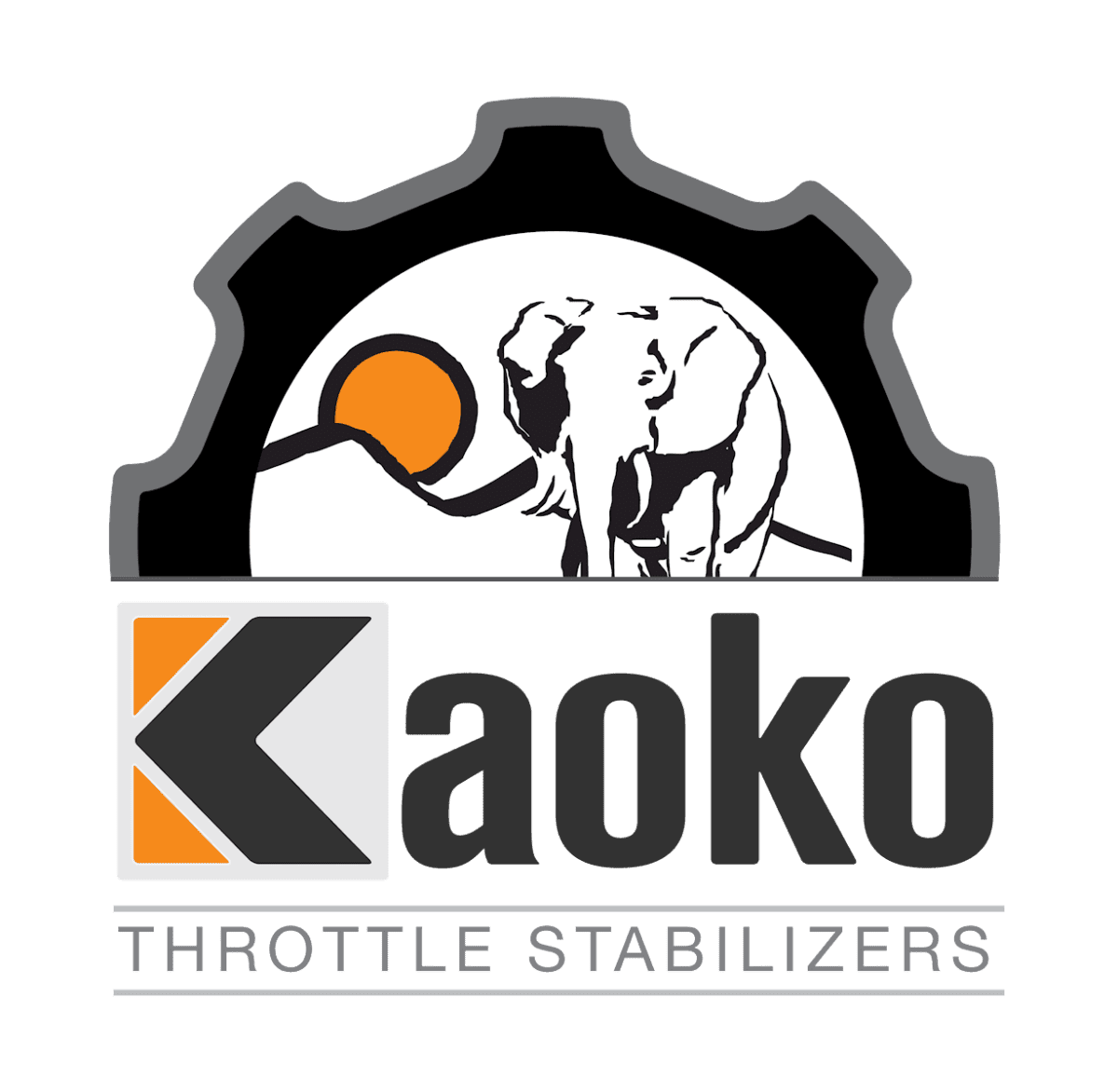 Kaoko Stabilizzatore manubrio con cruise | KA - BSA100 - r31575 - ENDURRAD