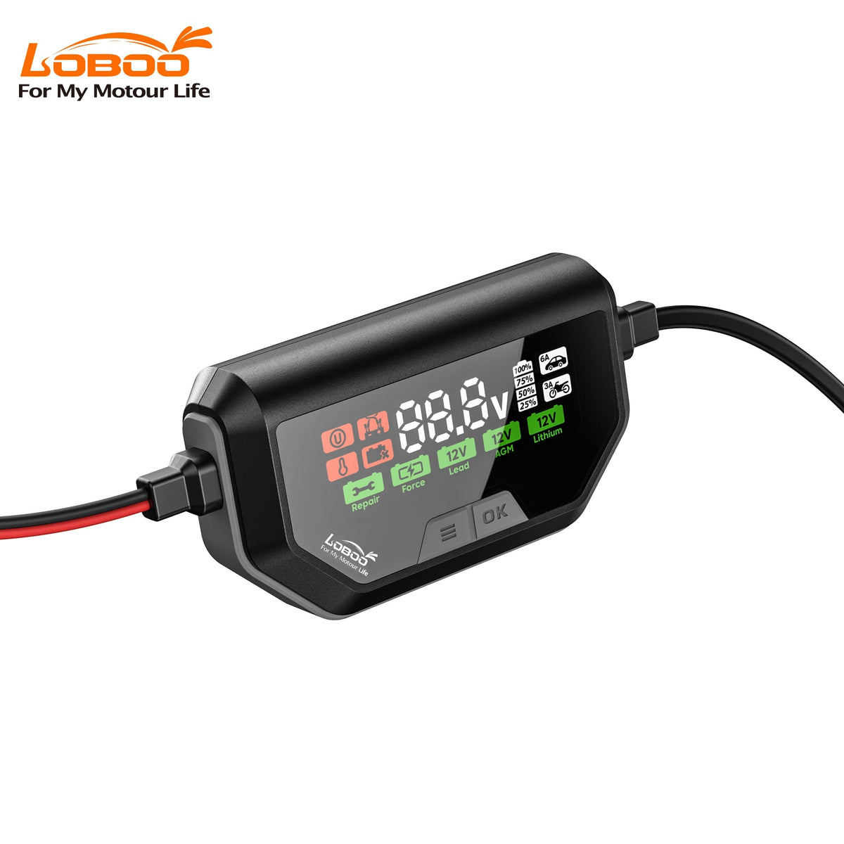 Charger and battery maintainer for motorcycle batteries.