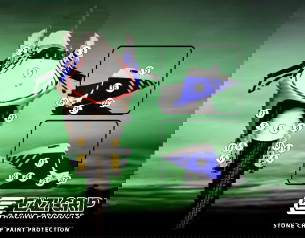 Pellicola protettiva NSF250R 2012-