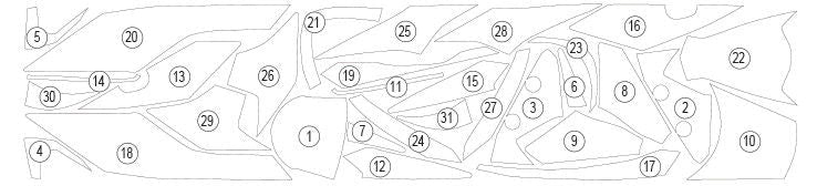 Pellicola protettiva TRIUMPH STREET | EZ - GUARDTRI014A - 39404 - ENDURRAD