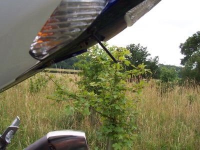 Portatarga Suzuki Gsxr 1000 K5 K6 Bad Boy 5655 Rg LP0030BK - ENDURRAD