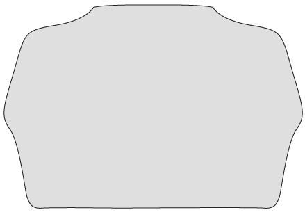 Protezione strumentazione TRIUMPH SPE | EZ - DASHTRI013 - r28607 - ENDURRAD