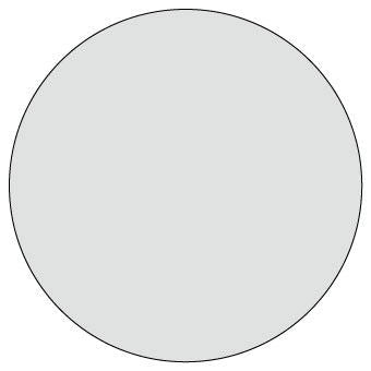 Protezione strumentazione TRIUMPH TRI | EZ - DASHTRI014 - r28608 - ENDURRAD