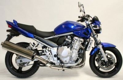 Protezioni perno forcella Anteriore - Suzuki Bandit 650 W - C '07 & Gsx650F '08 - ENDURRAD