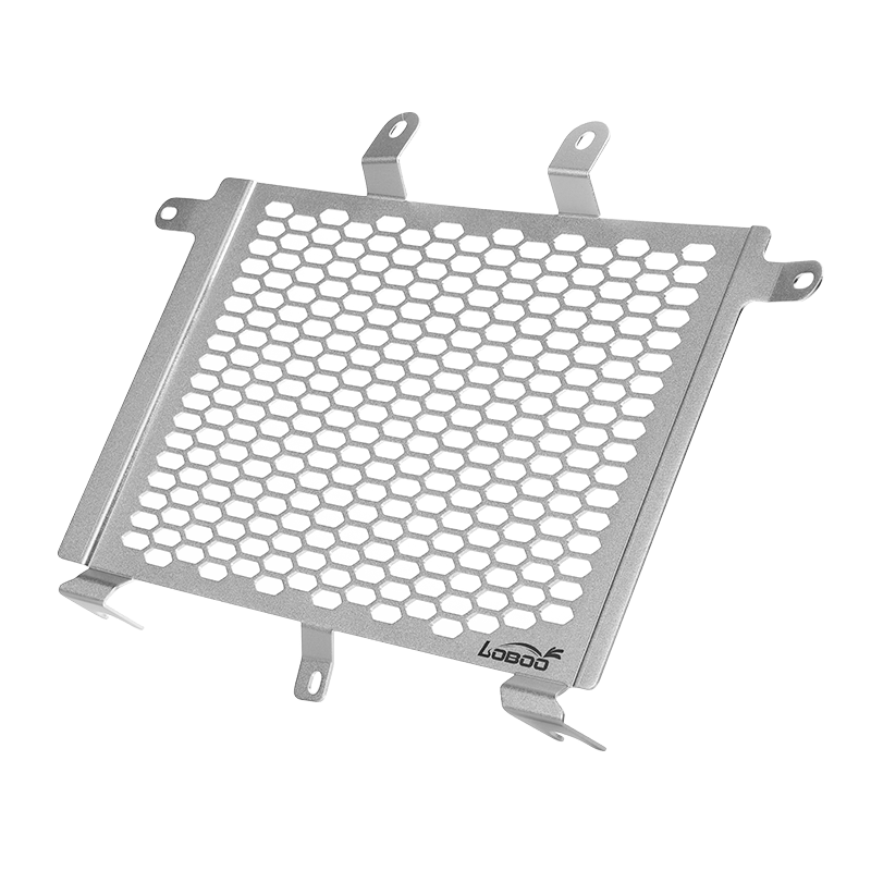 Adventure radiator guard