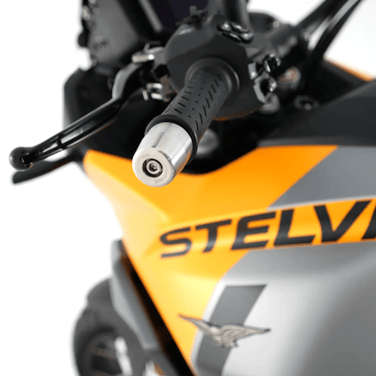 R&G Racing Stabilizzatore manubrio in acciaio inossidabile per Moto Guzzi Stelvio '24 - ENDURRAD