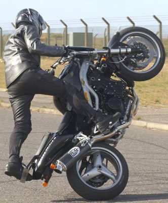 Tamponi paratelaio ANTERIORI - Triumph Speed Triple '97 - '07 - ENDURRAD