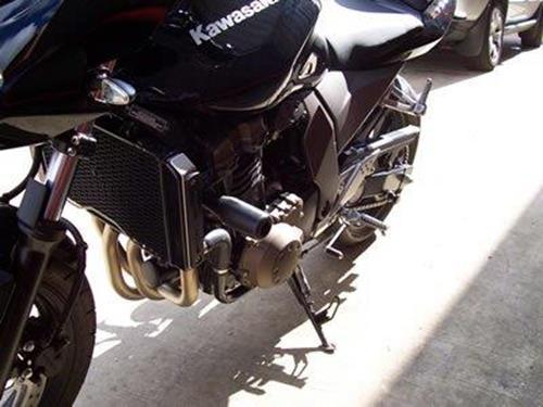 Tamponi Paratelaio Kawasaki Z750 Z750S Z1000 All Up To 06 70289 Rg CP0121BL - ENDURRAD
