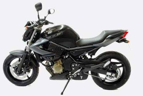 Tamponi Paratelaio Tipo Aero Yamaha XJ6 09 12 Diversion 09 No Diversion F 70363 Rg CP0246BL - Endurrad